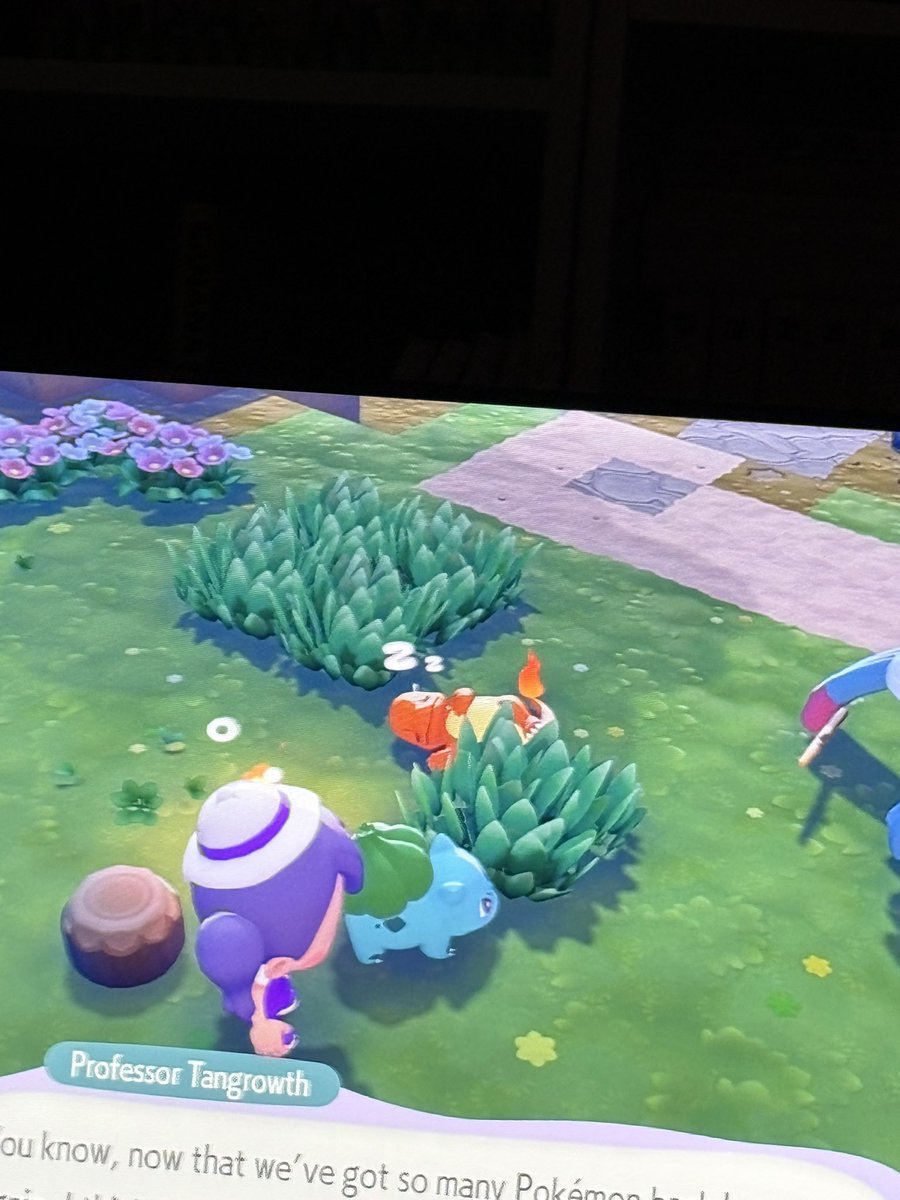 daph🪽 tweet media