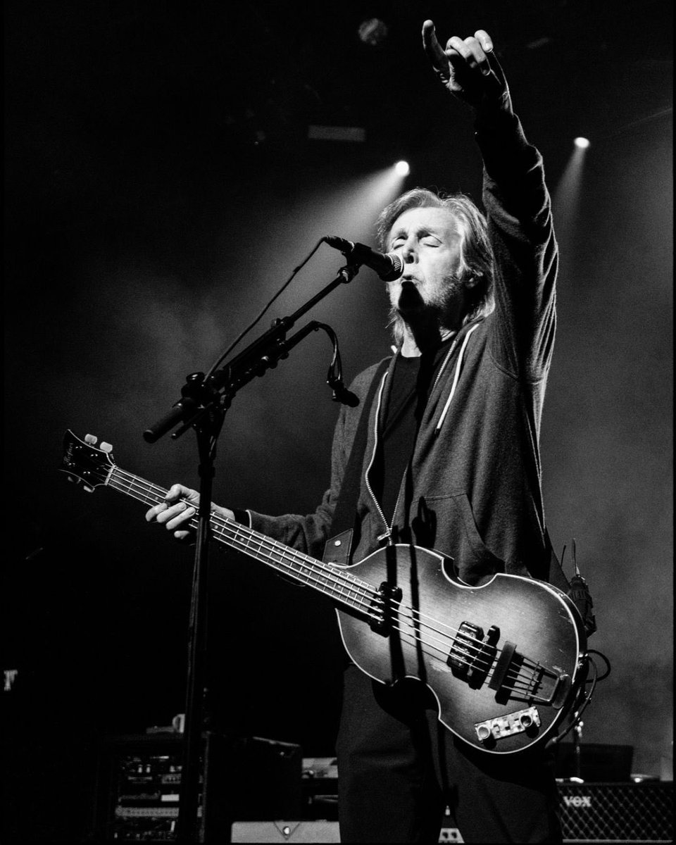 The Beatle BR 🍏🐦‍⬛ tweet media