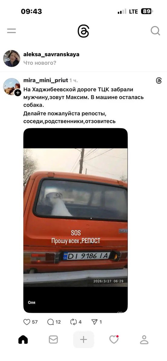 Море 🌊 tweet media