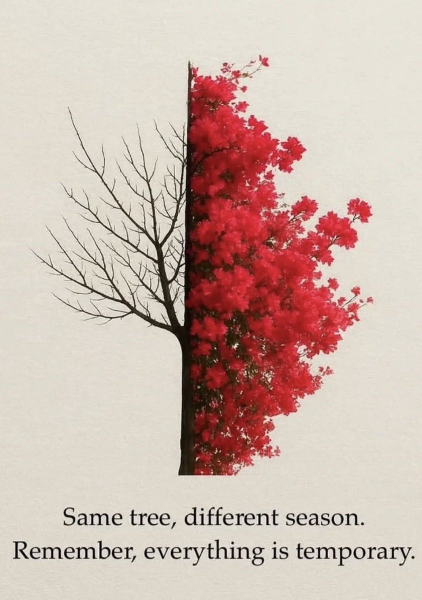 DrAaronHouse's tweet photo. #seasons of #life https://t.co/miO0CPW8Za