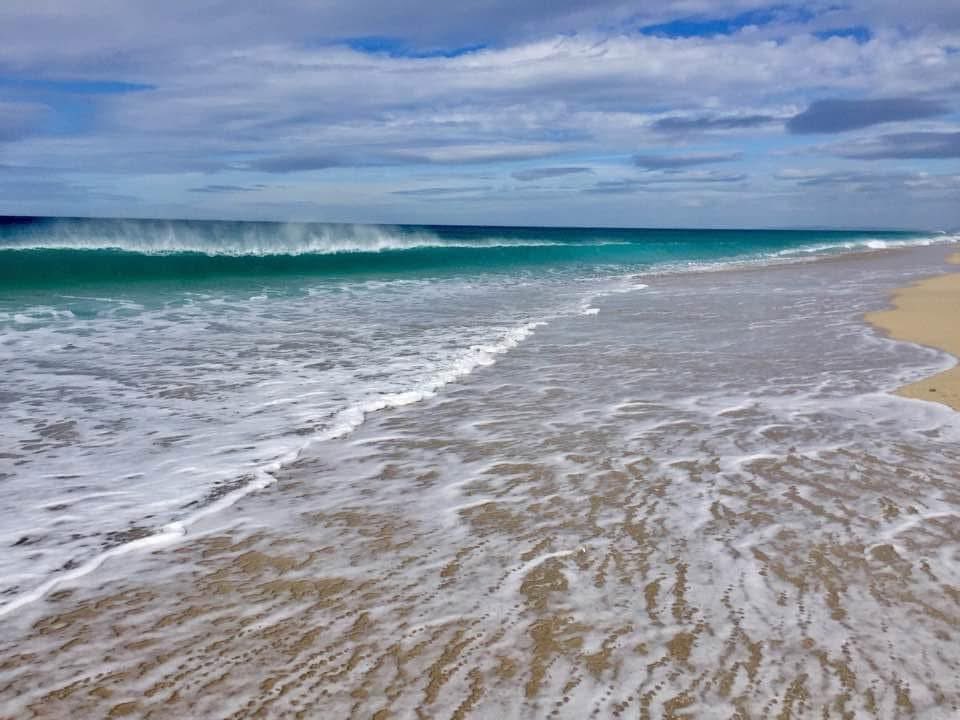 Santiago Garrido tweet media