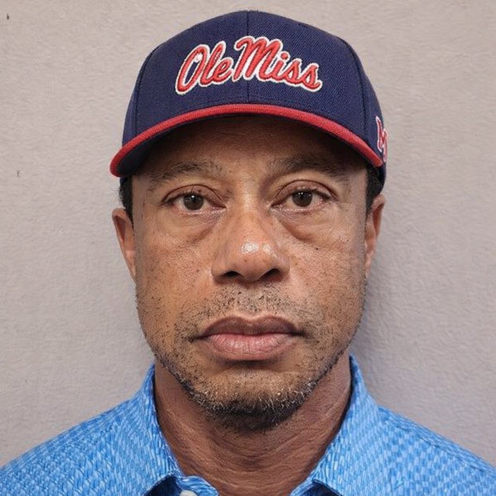 Rebel Ball tweet media