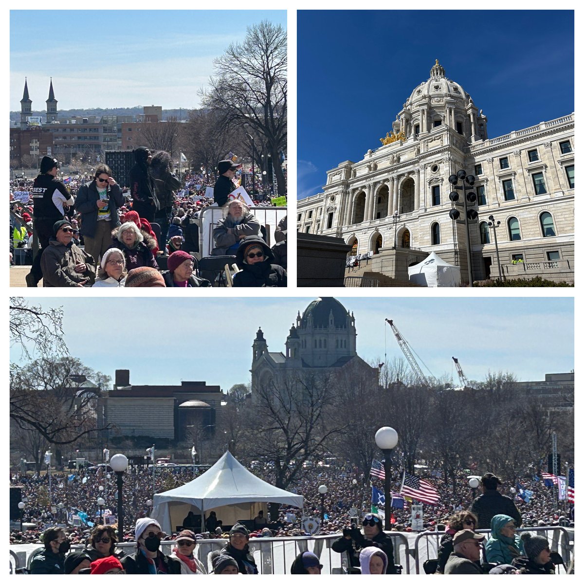 Tom Hauser tweet media