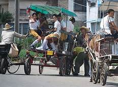 marquis del palacio tweet media