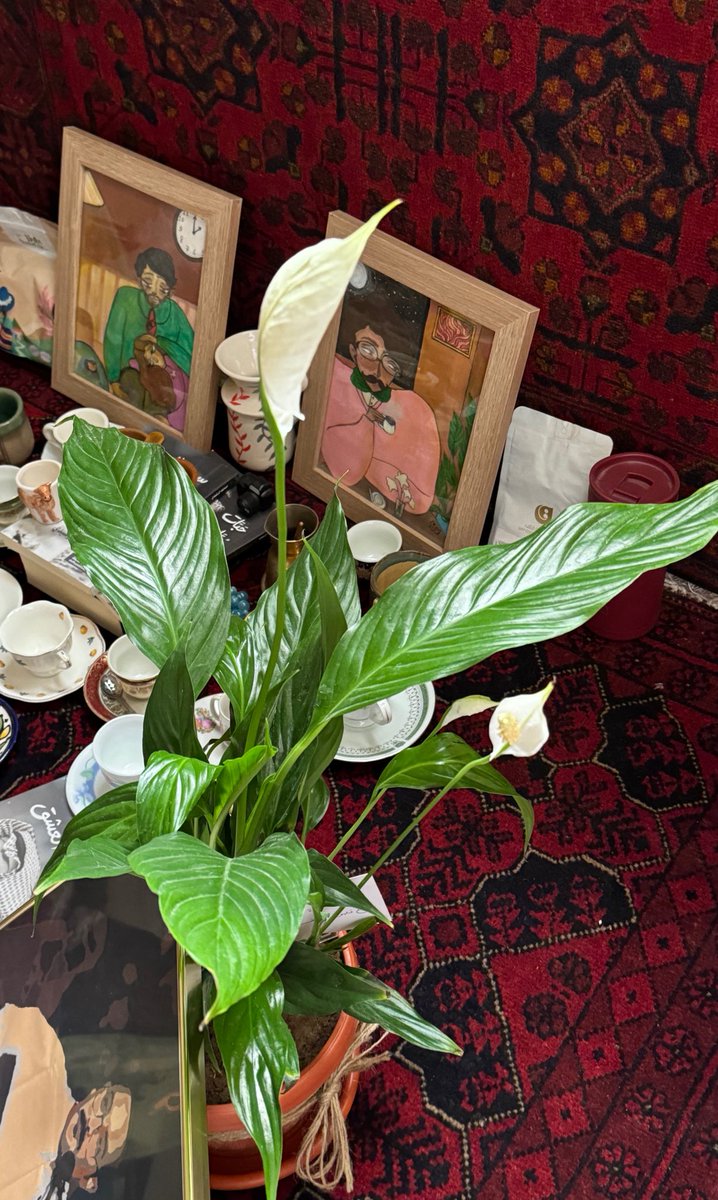 سعُود الشمري tweet media