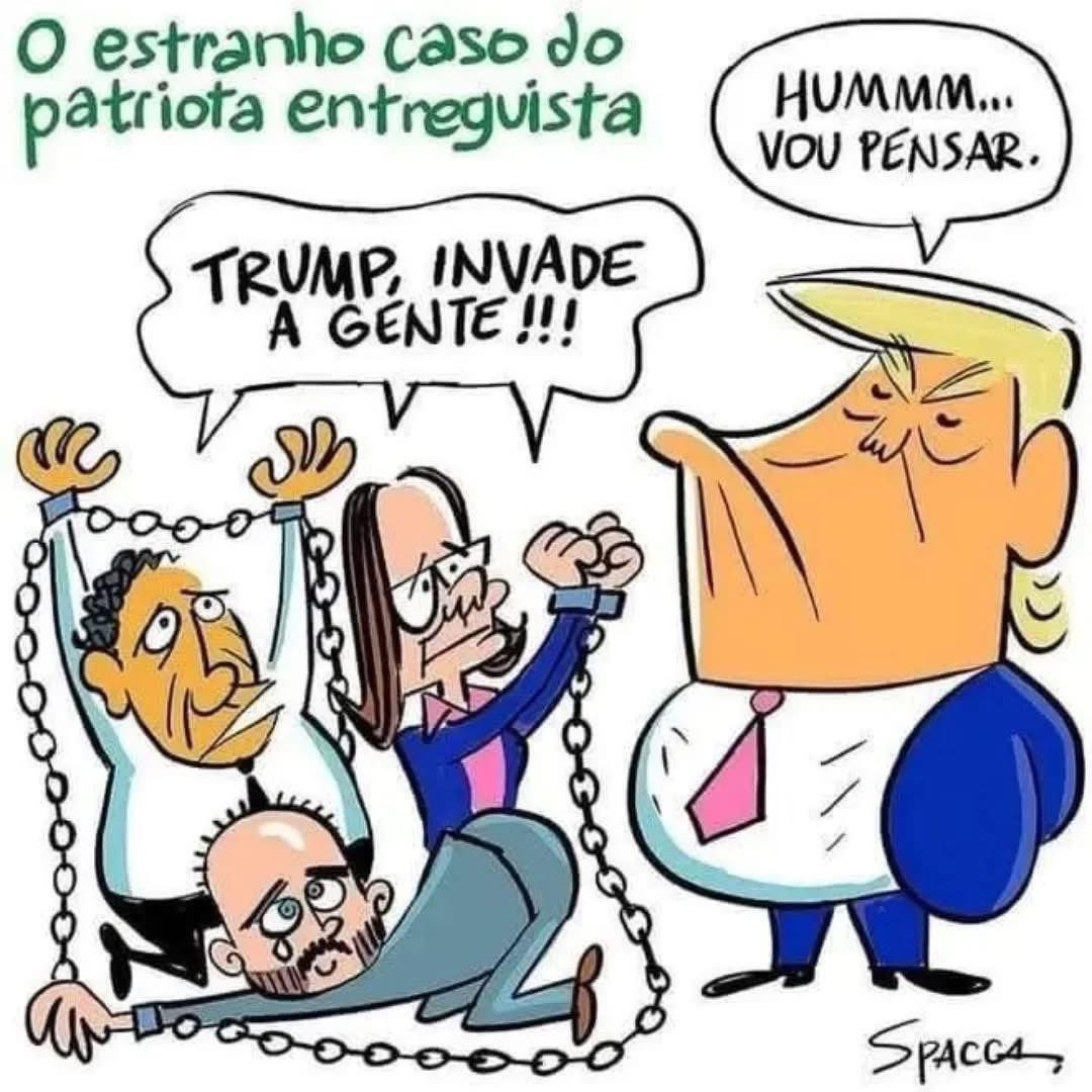 Kelly Nunes tweet media