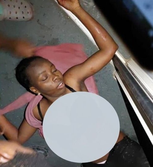 IGBO History & Facts tweet media