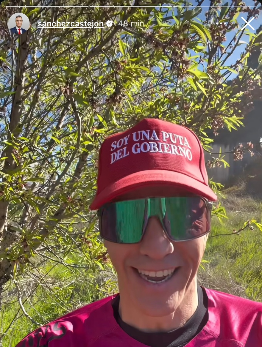 Bluesdav tweet media