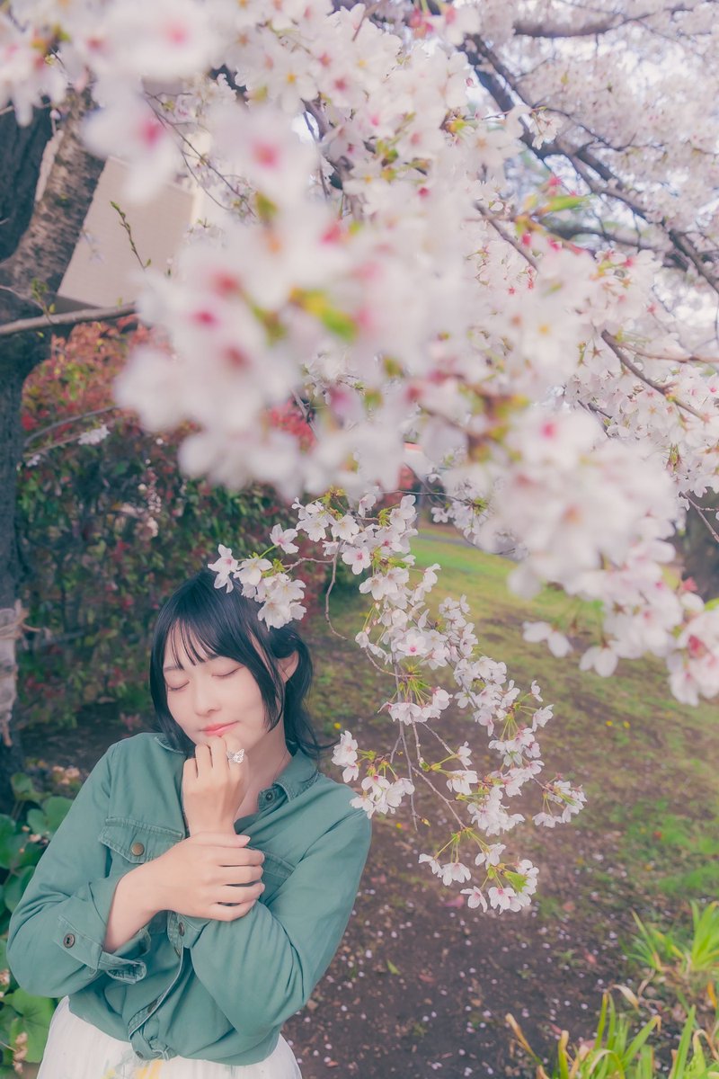 龍太郎Photo🏝️🦋 tweet media