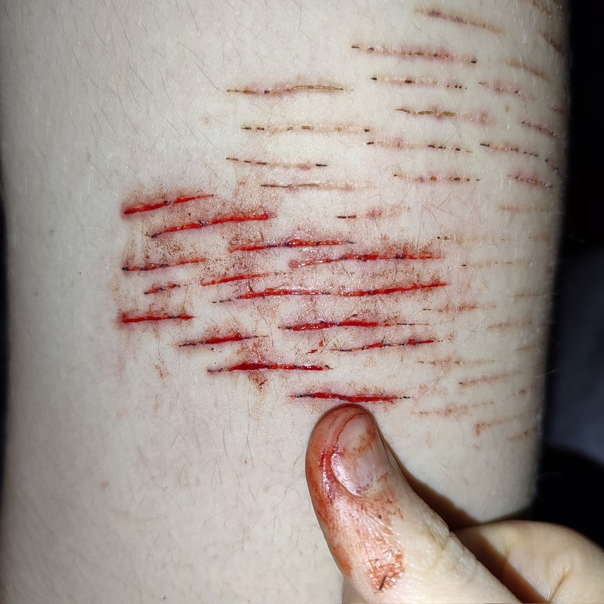 Ari | shedtwt tweet media