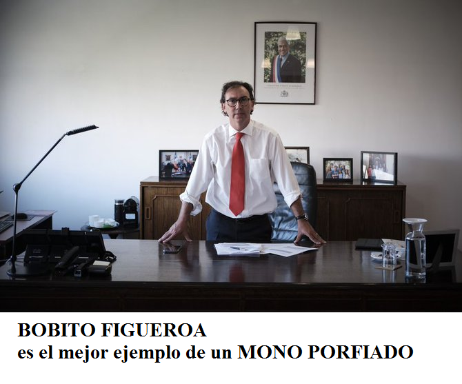 José Marfull tweet media