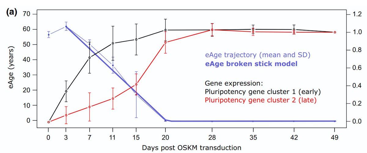 Marcos Arrut tweet media