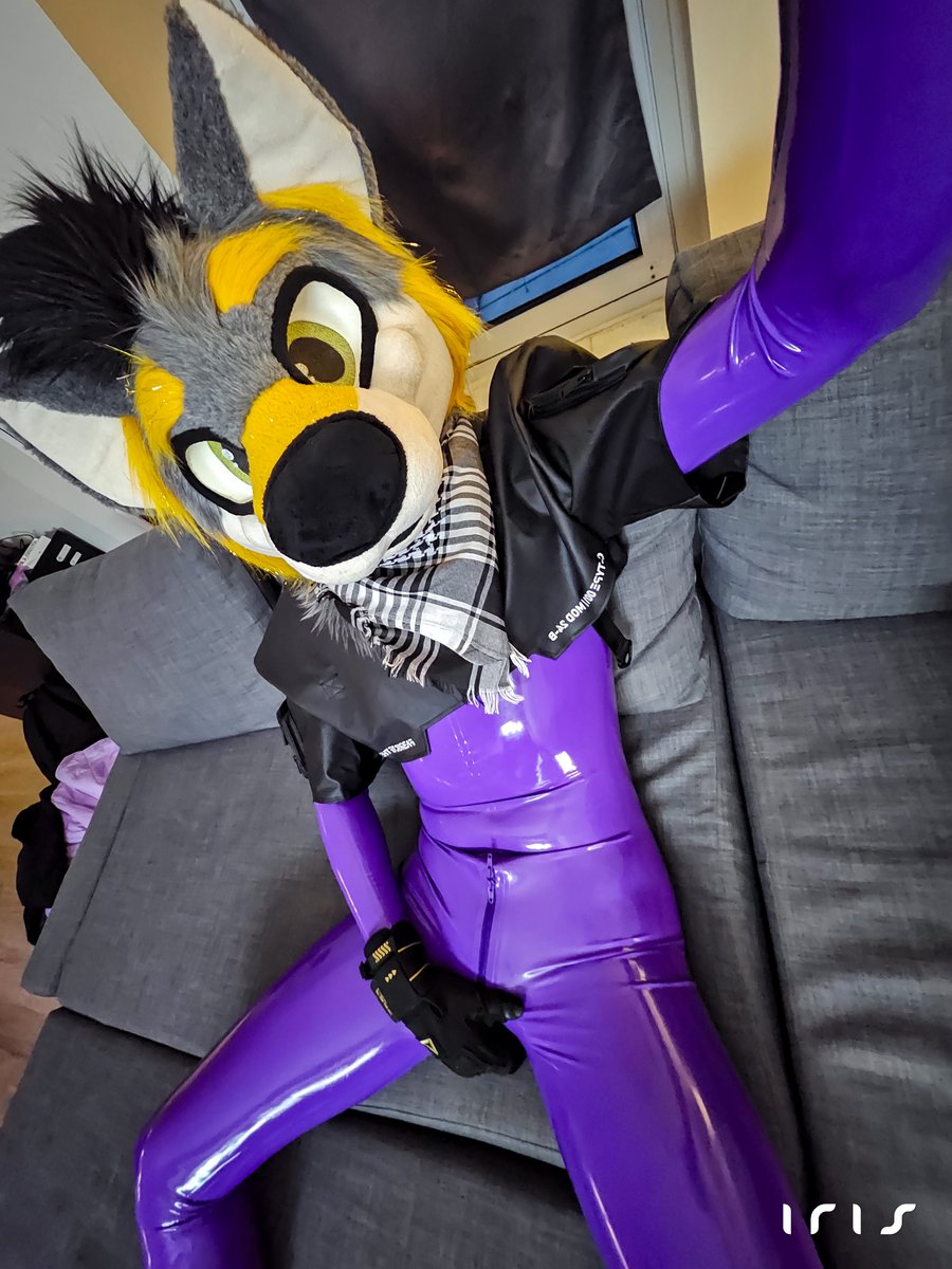 🦊 Iris 🦊 🔜 FWA tweet media