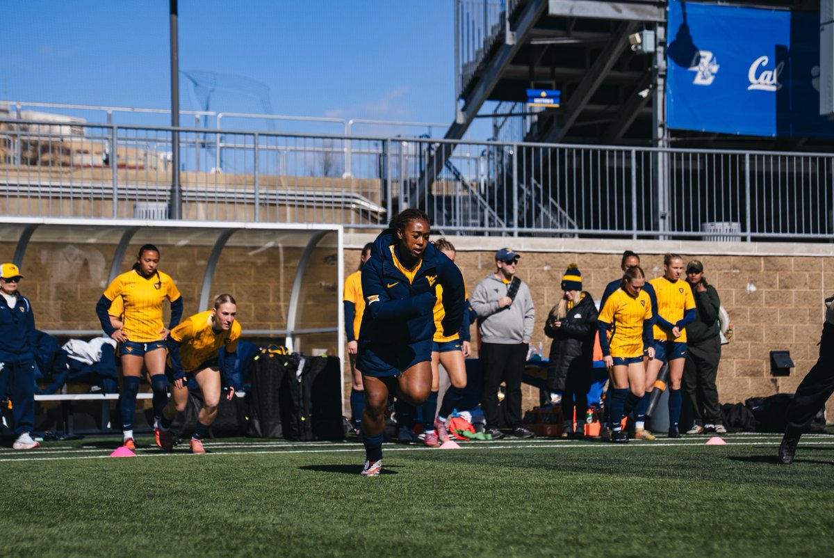 WVU Women's Soccer tweet media