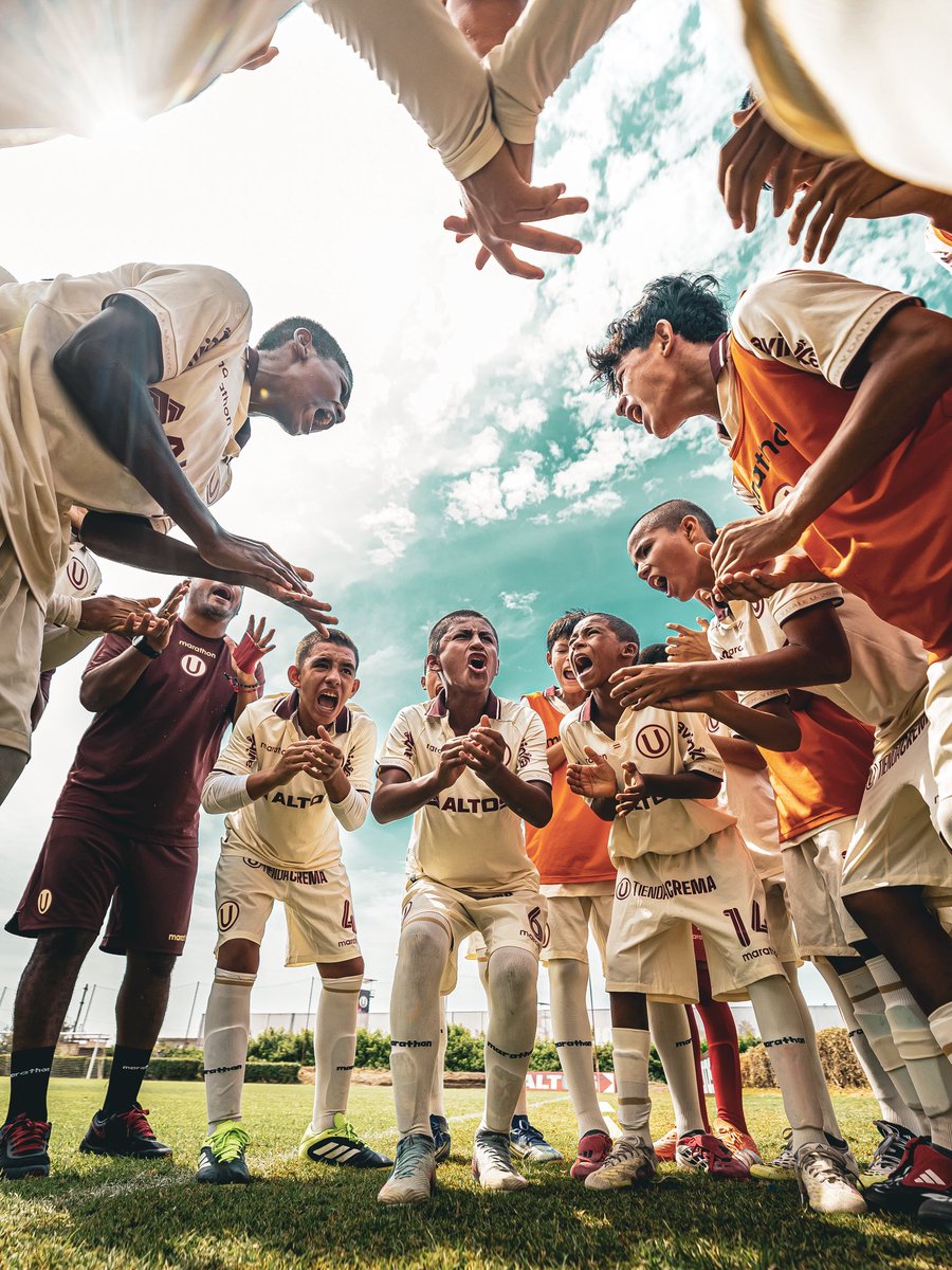 Divisiones Menores - Universitario tweet media