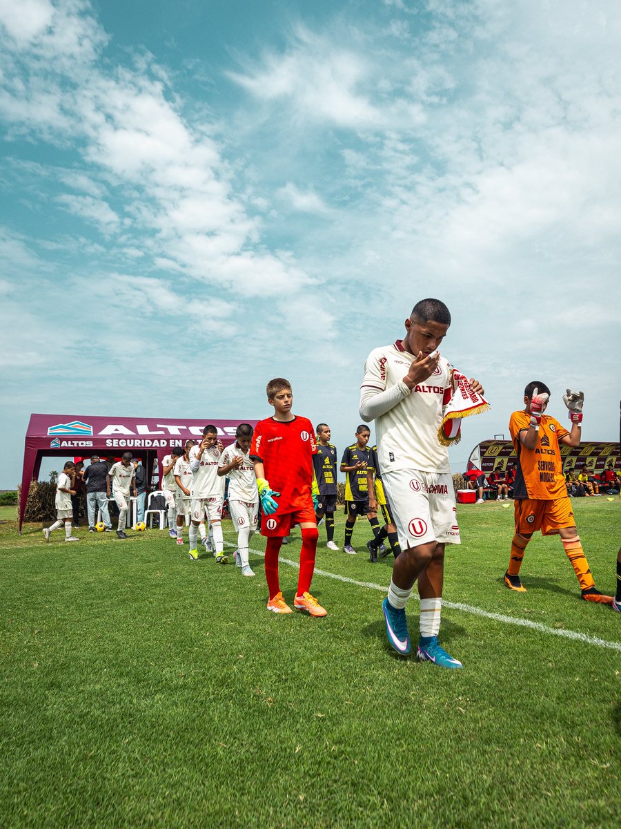 Divisiones Menores - Universitario tweet media