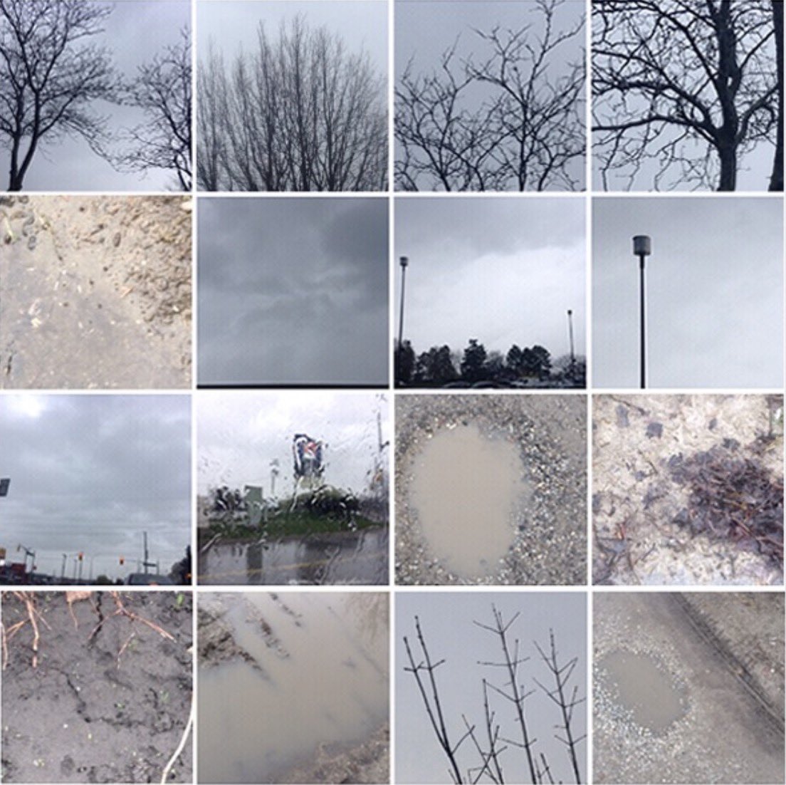 Dusty Lalas tweet media