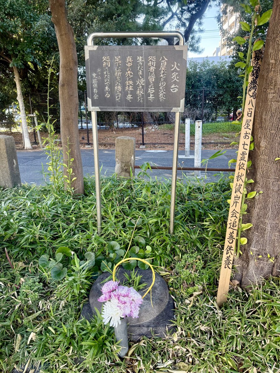 日ノマリスト🎀 tweet media