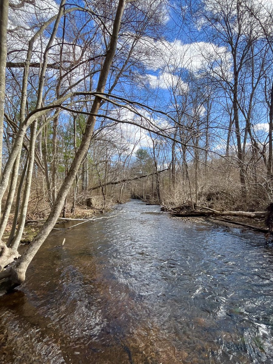 Felicity tweet media