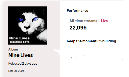 December Cats, jazz band tweet media