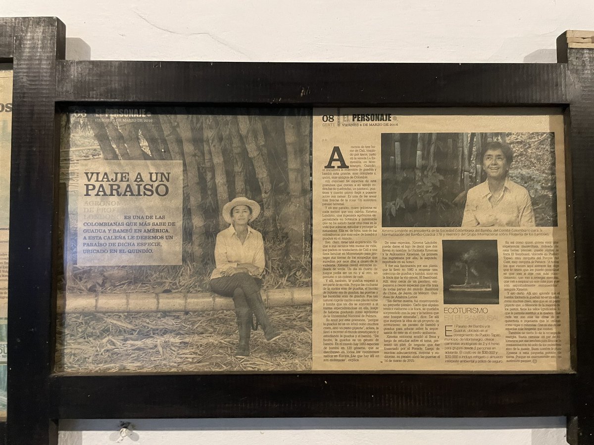 arquitonto tweet media