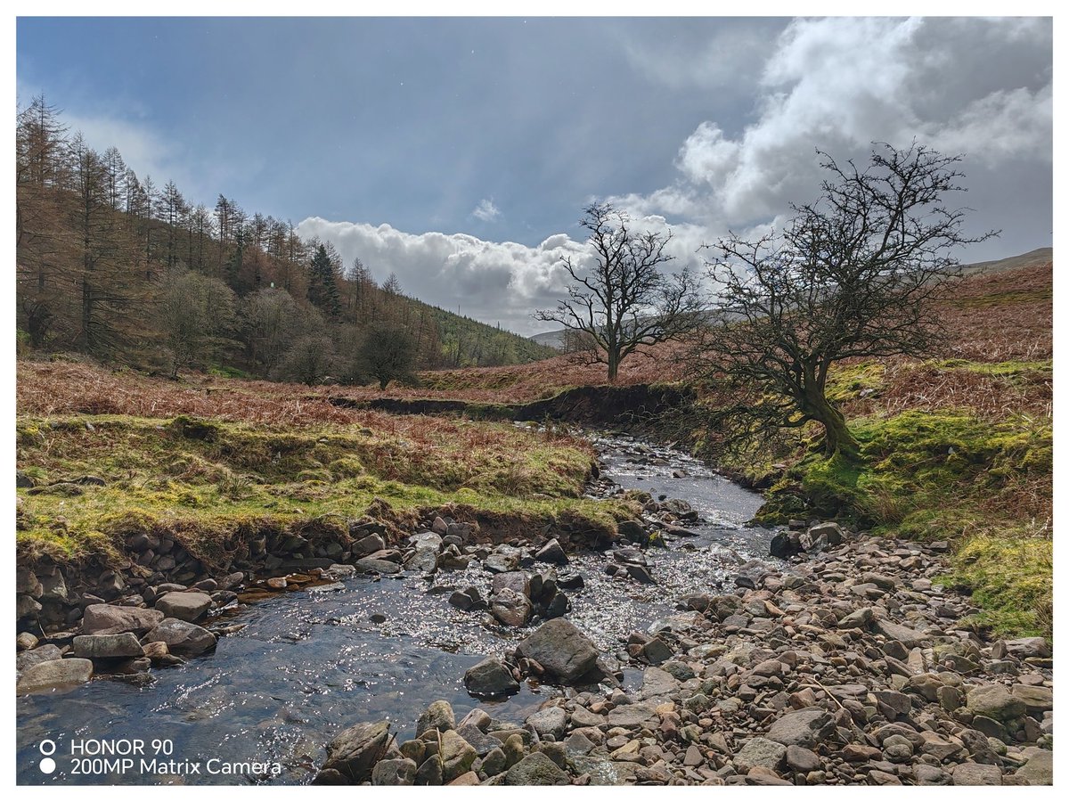 Martin Whittaker tweet media