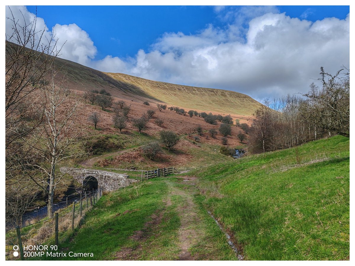 Martin Whittaker tweet media