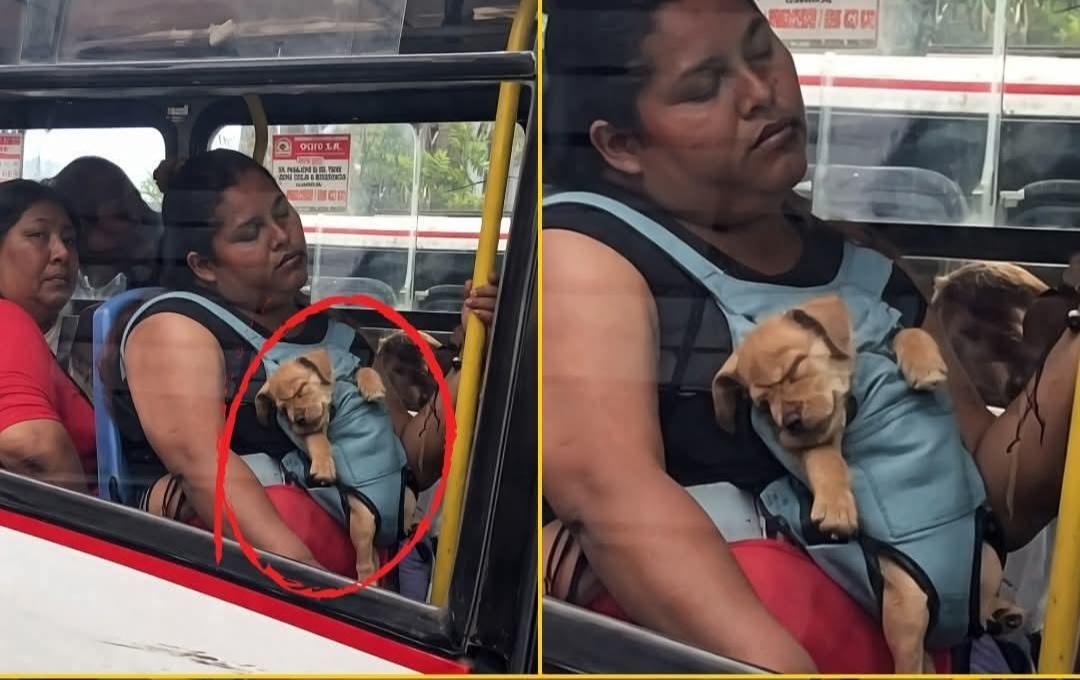 Sabueson tweet media