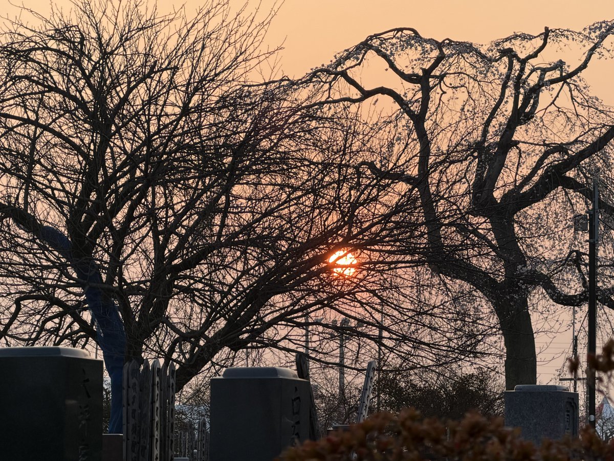 いちのせ(いっちぃ) tweet media