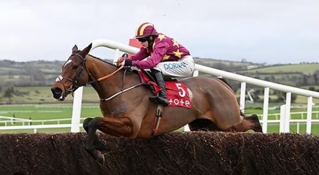 JIBBER JABBER tweet media