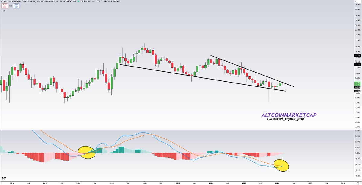 𝕄𝕠𝕦𝕤𝕥𝕒𝕔ⓗ𝕖 🧲 tweet media