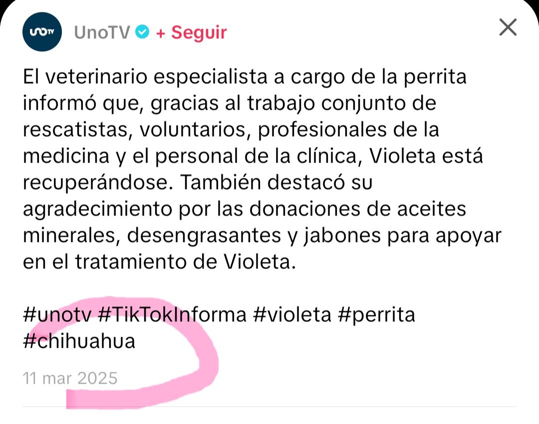 𝕭𝖗𝖊𝖓𝖓🖤🤍 tweet media