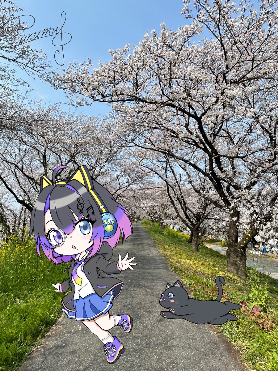 音猫パルム🎧🐈‍⬛🌙 X固定見て‼️新人歌い手💜(Vtuber準備中) tweet media