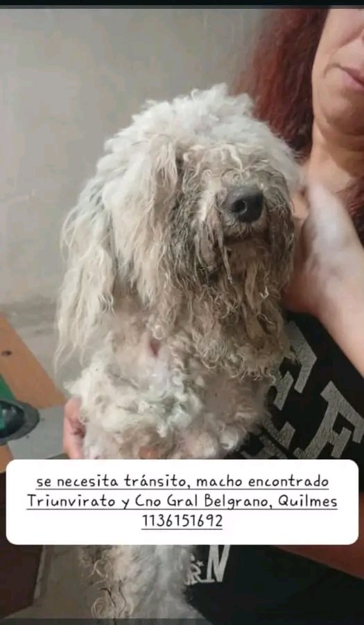 Jimena Torres ⭐️⭐️⭐️ tweet media