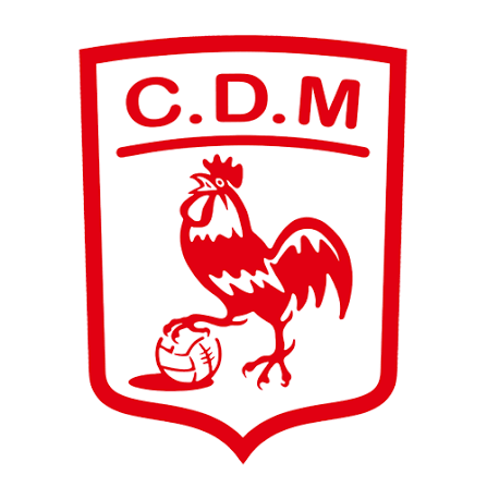 Elefee 🇪🇪 tweet media