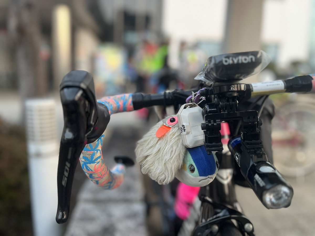 メイリン𝕏@筋トレ頑張る tweet media