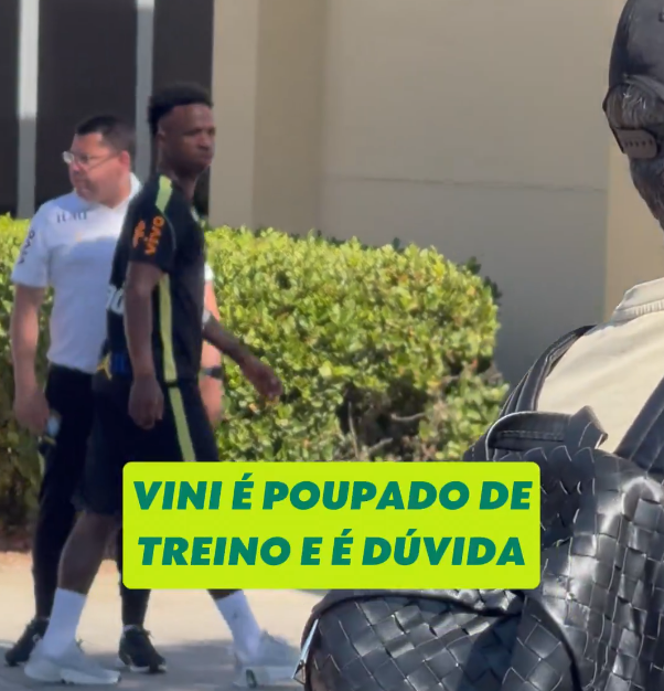 MANUAL DO JOGADOR RUIM tweet media