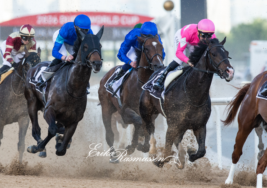 erikar_photos's tweet image. Wonder Dean ワンダーディーン enjoyed the extra distance, after a fourth in the shorter Saudi Derby, for a quite easy win in the UAE Derby