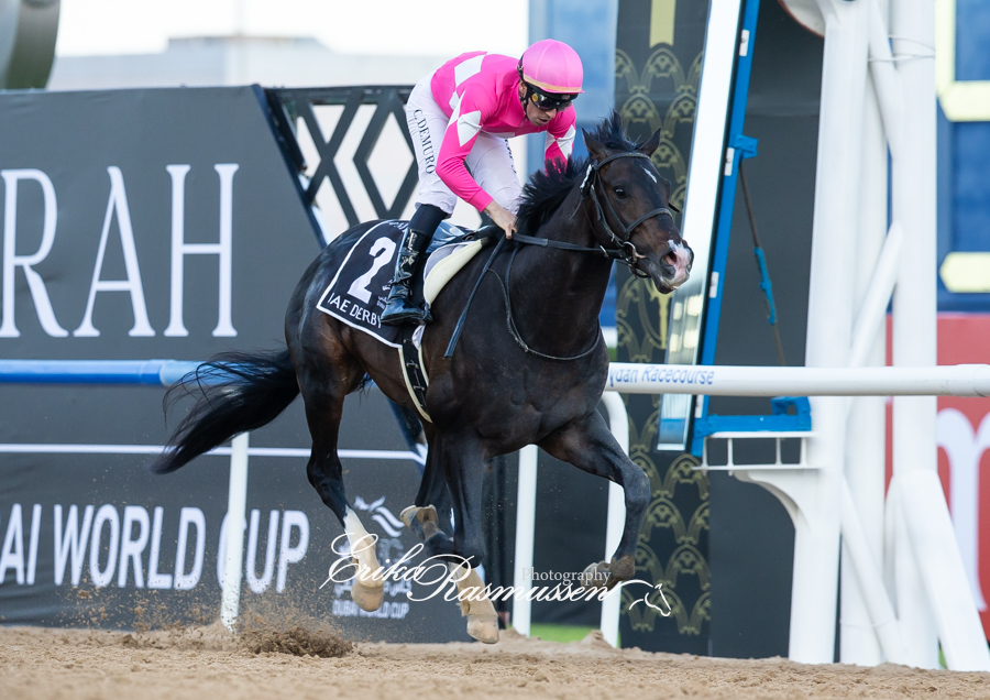 erikar_photos's tweet image. Wonder Dean ワンダーディーン enjoyed the extra distance, after a fourth in the shorter Saudi Derby, for a quite easy win in the UAE Derby