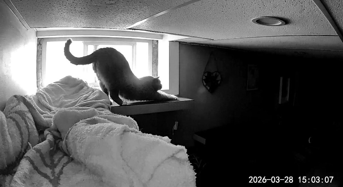 jes w/ one s 🕷️ tweet media