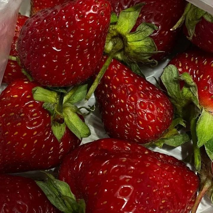 coffe ♥︎'s Dante ⭐️ tweet media