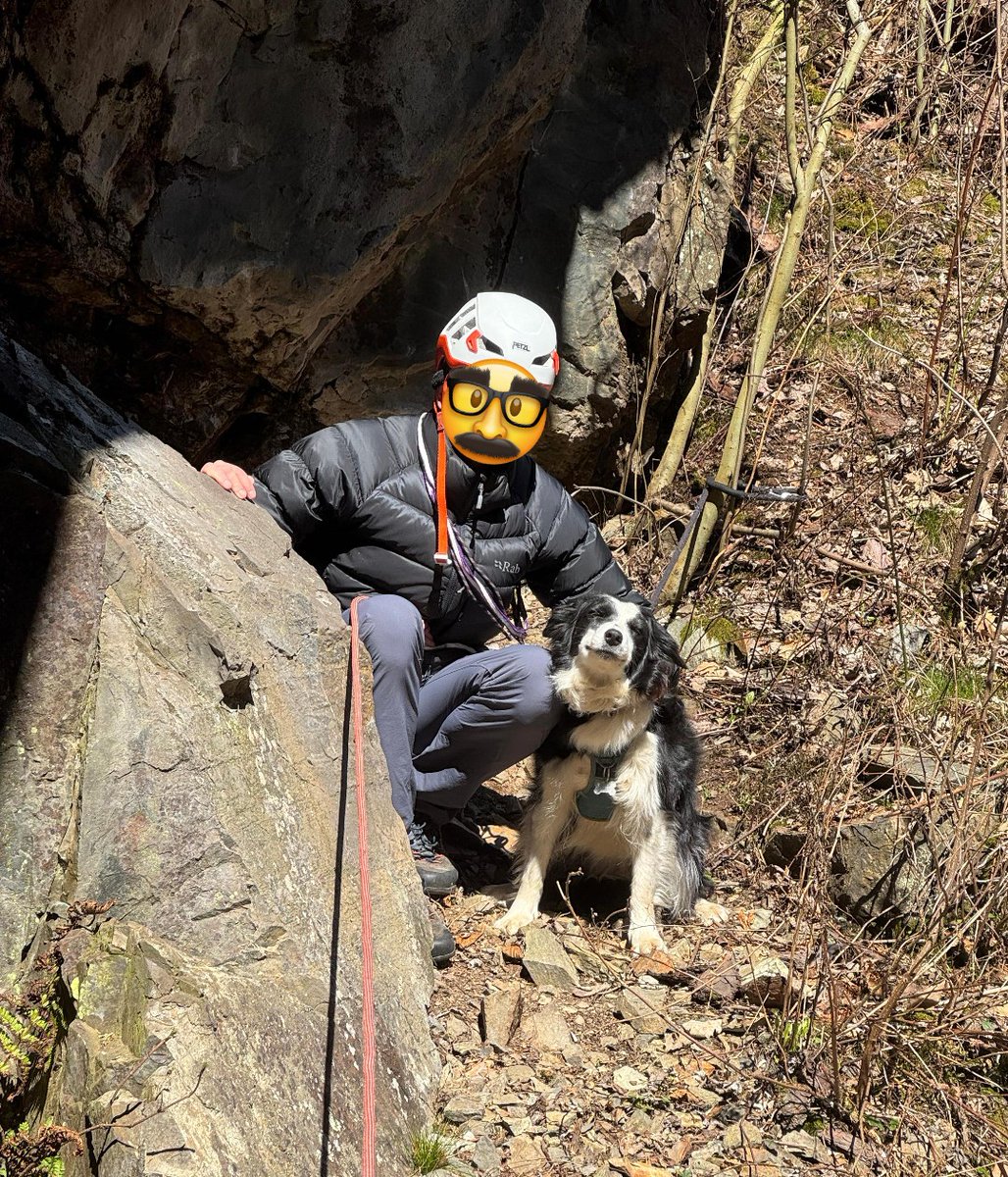 Pescegatti tweet media