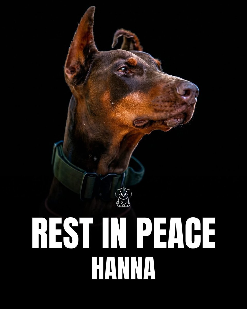 dominic dyer tweet media