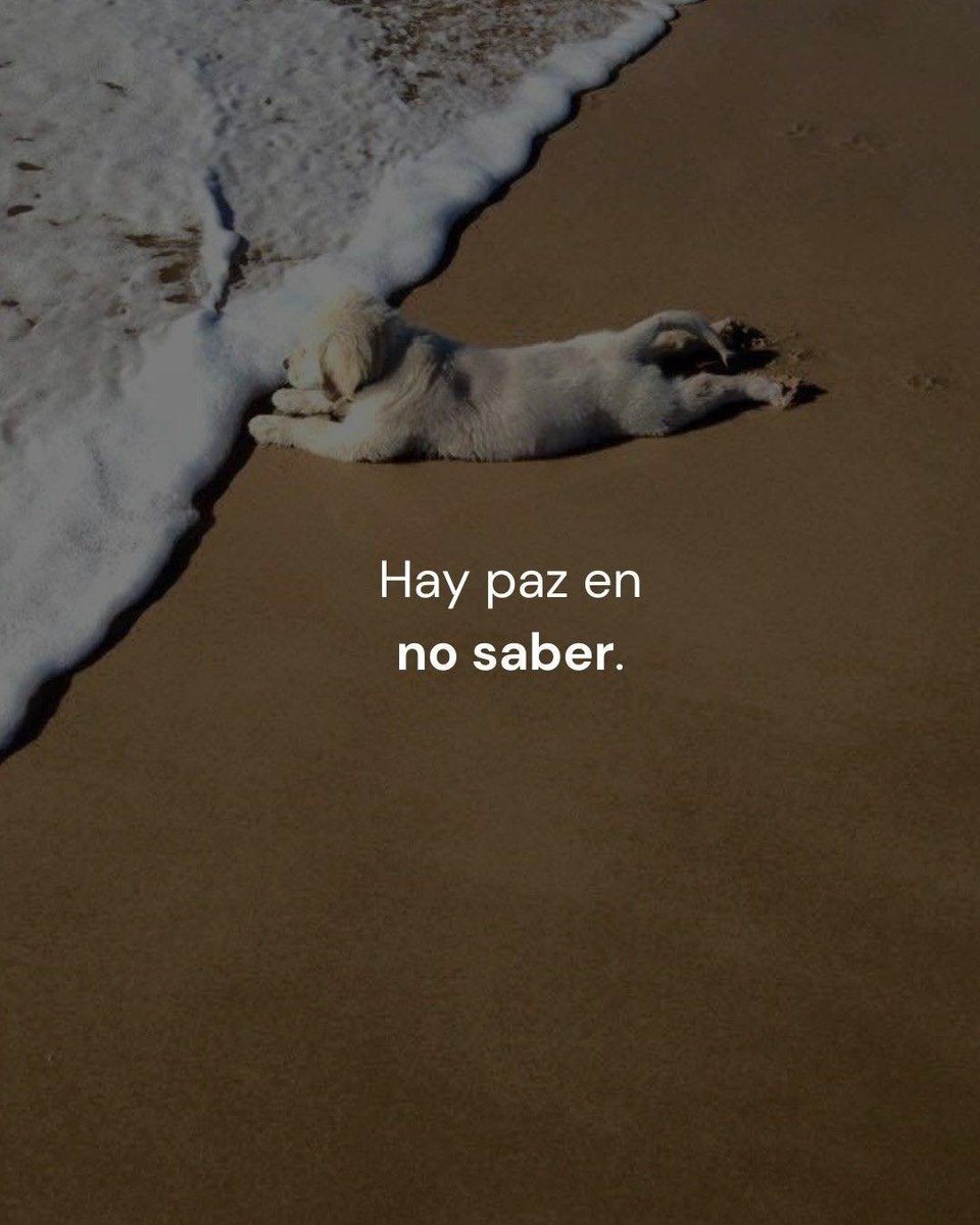 𝗧 𝗲 𝘅 𝘁 𝗼 𝘀 𝗡 𝘂 𝗯 𝗹 𝗮 𝗱 𝗼 𝘀 ☁️ (@textosnublados) on Twitter photo 