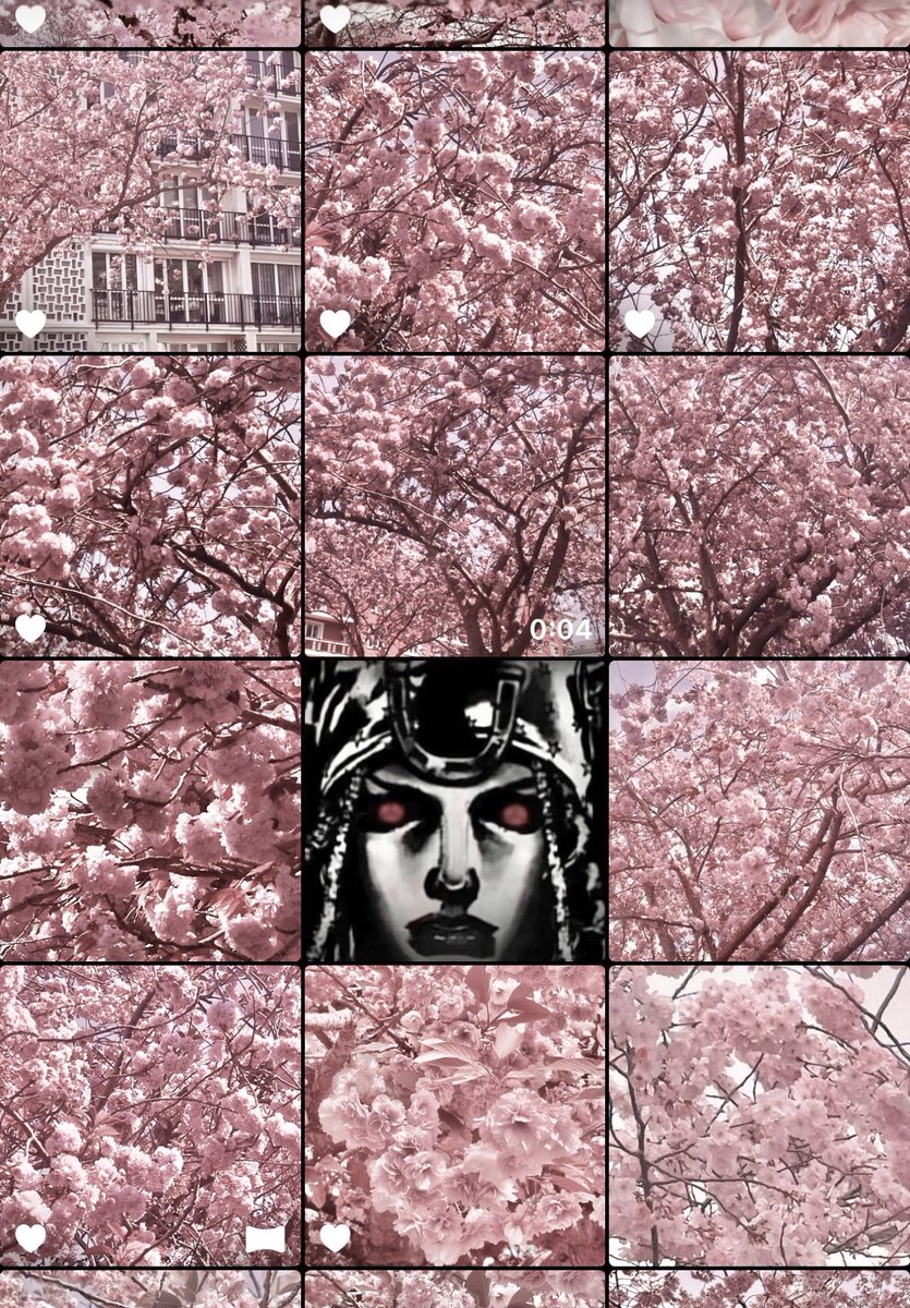 ˚˖𓍢ִ໋ 𝐨𝐭𝐬𝐮 ♡ ݁𖥔 ݁˖ tweet media