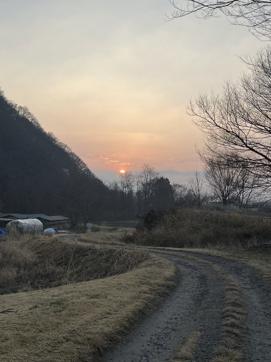 ぐんぐんぐんぐん昇ってくー
おーい　真赤な太陽
どこから来たのー？
光の国から来たのー？