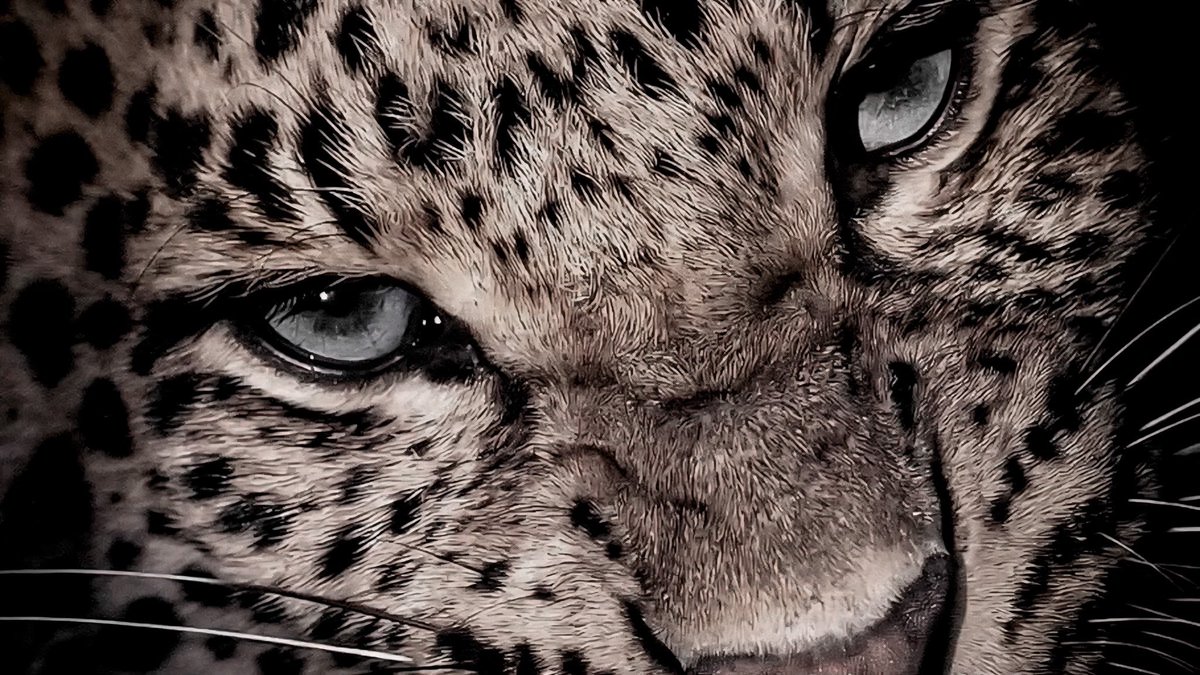 𝕯𝗔𝗥𝗜𝗝𝗔 tweet media