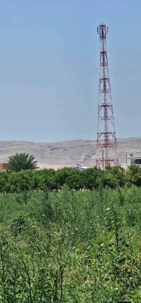 نوره محمد tweet media