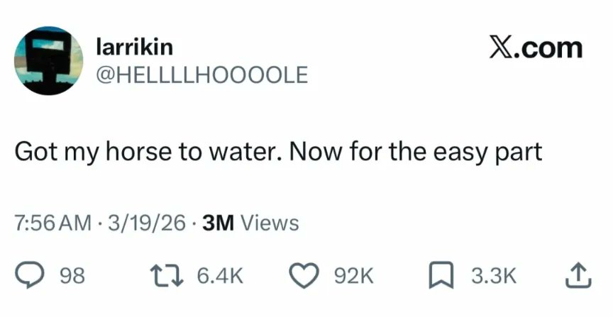 lucy ford 🍊 tweet media