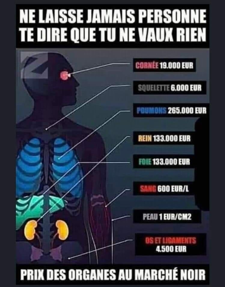 Michael Angelus ✝️👼🙏📿 tweet media